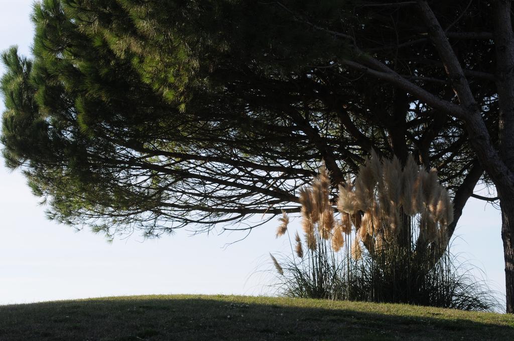 Cosmopolitan Golf & Beach Resort Tirrenia Esterno foto